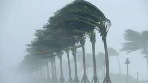 Van’da kuvvetli rüzgâr uyarısı!