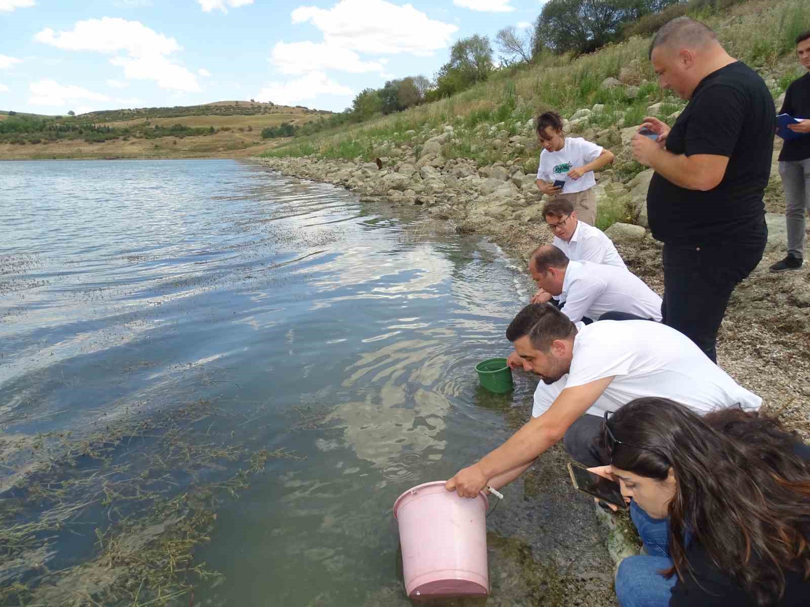 Tekirdağ’da göletlere yarım milyon sazan salındı