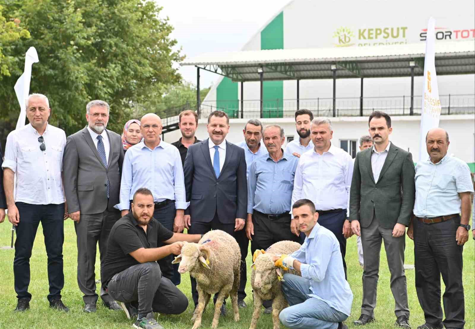 Kepsut’ta 85 üreticiye 585  küçükbaş desteği