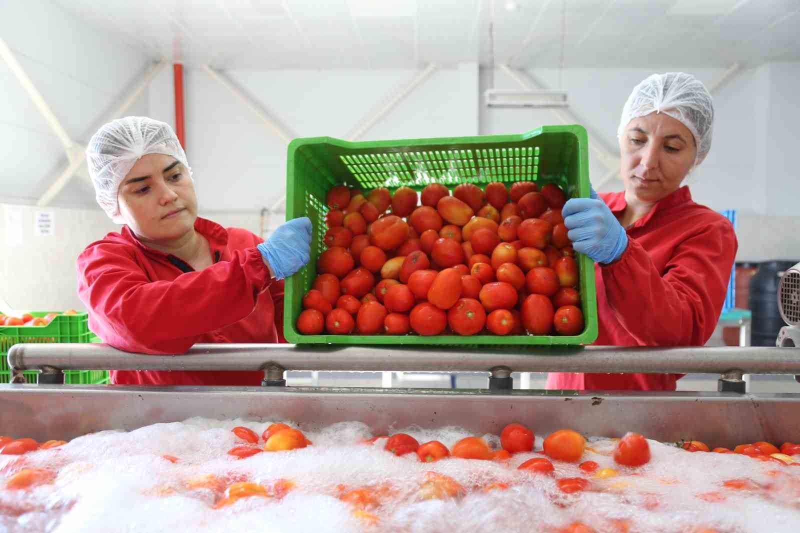 Efe kadınlar üretiyor, işliyor, halka sunuyor