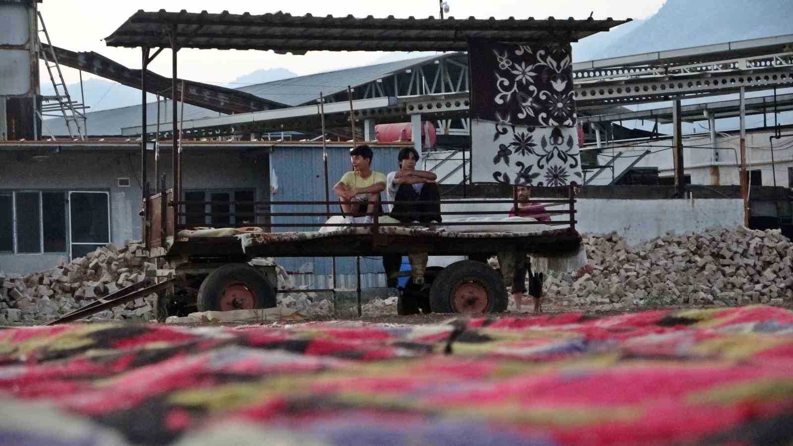 Antalya’da tarlada milyonluk halı nöbeti: Güneş batınca başlayıp, doğunca bitiriyorlar