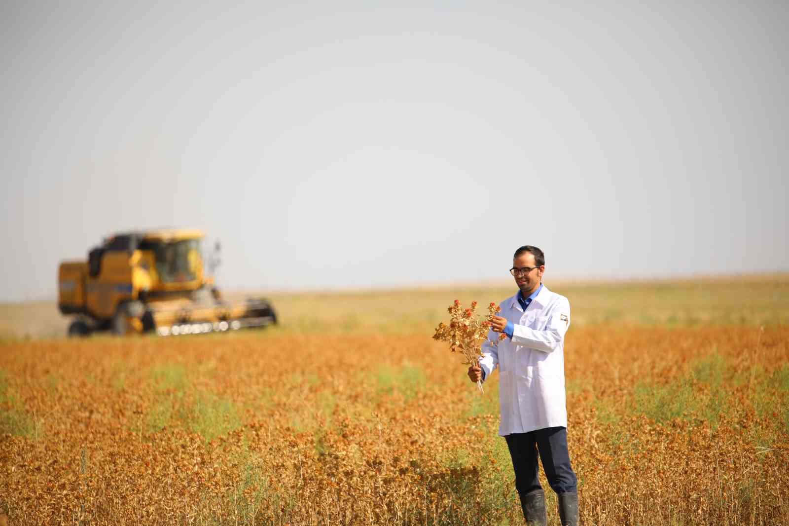 Başkan Altay: “Susuz Tarım Modeliyle ürettiğimiz aspirin hasadını yaptık”