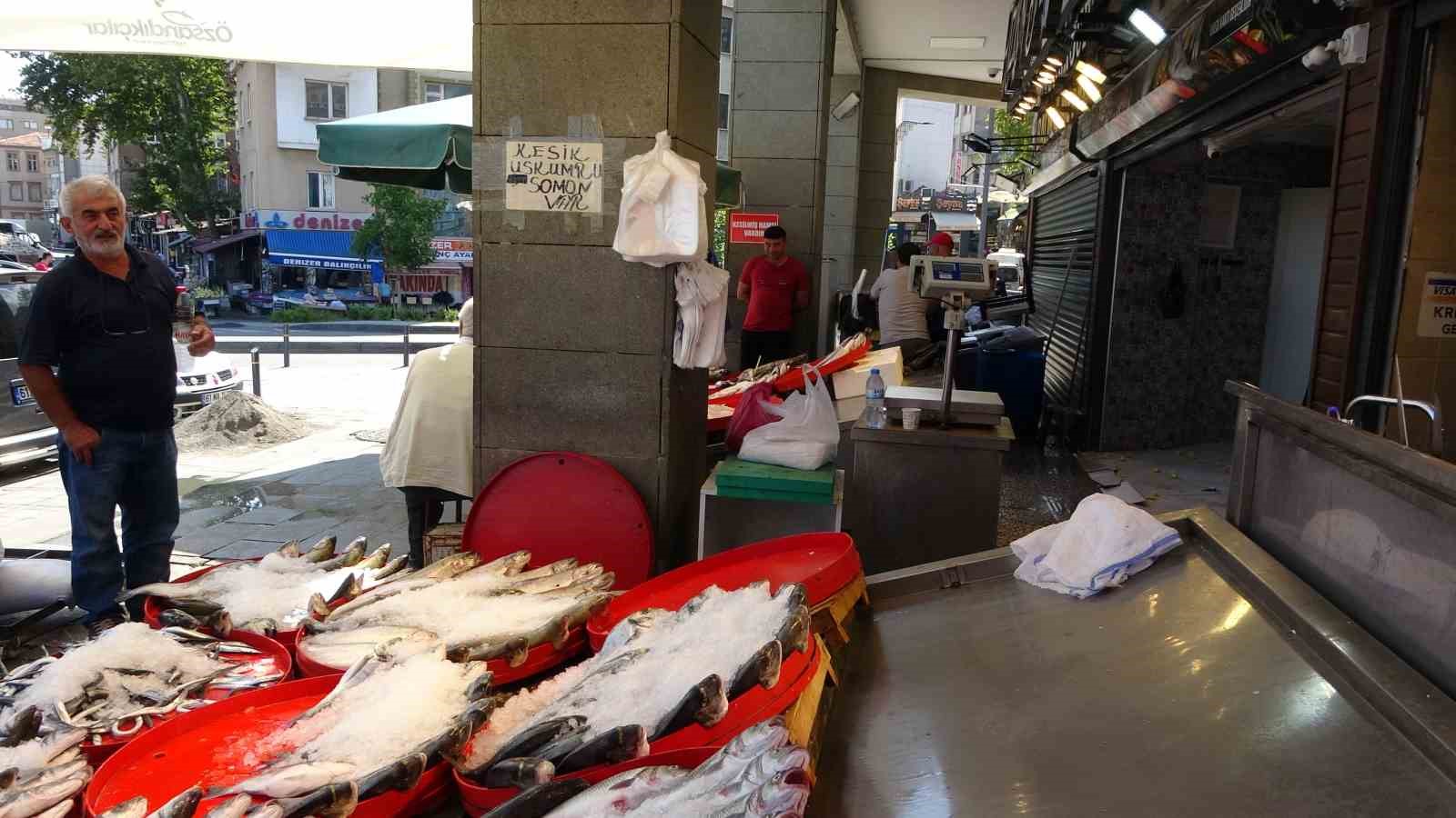 Balıkçı esnafının gözü çingene palamutundaydı ama…