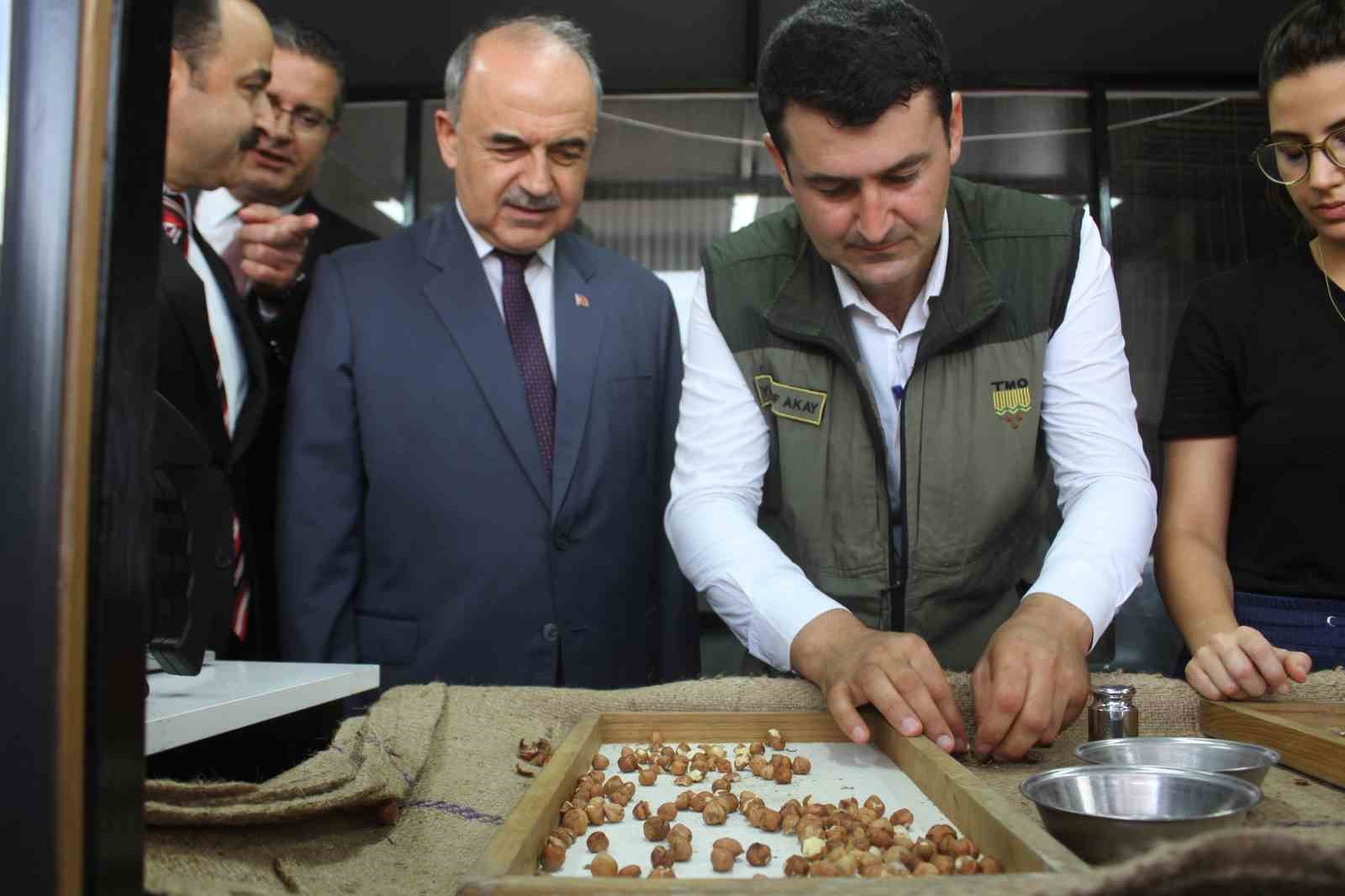 TMO Ordu’da fındık alımlarına başladı: İlk fındık 90 liradan satıldı