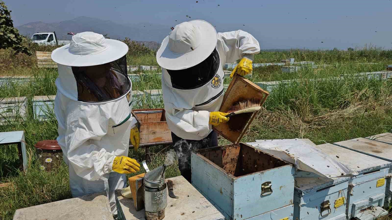 Aydın’da kadınlar arıcılık mesleğinde de söz sahibi olmaya başladı
