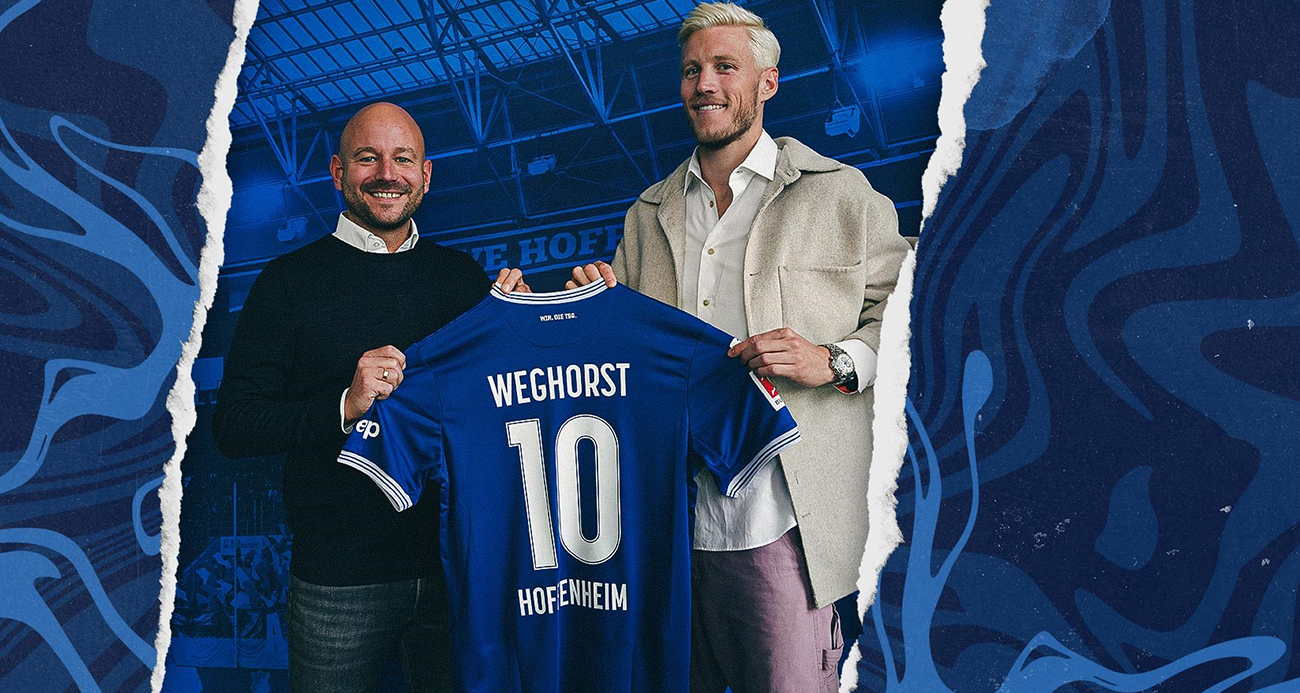 Wout Weghorst, Hoffenheim’da