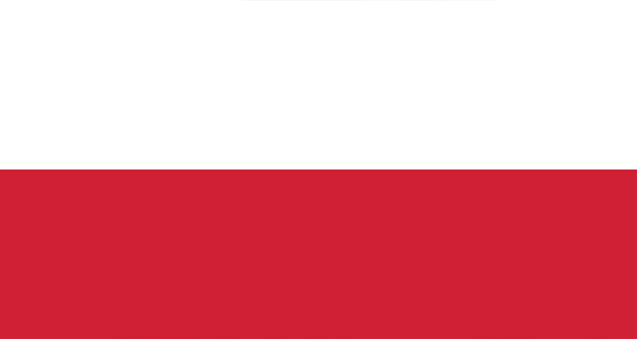 Polonya’da kaçak 28 Türk yakalandı