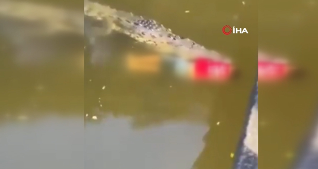 Genç futbolcu timsah saldırısında vahşice can verdi