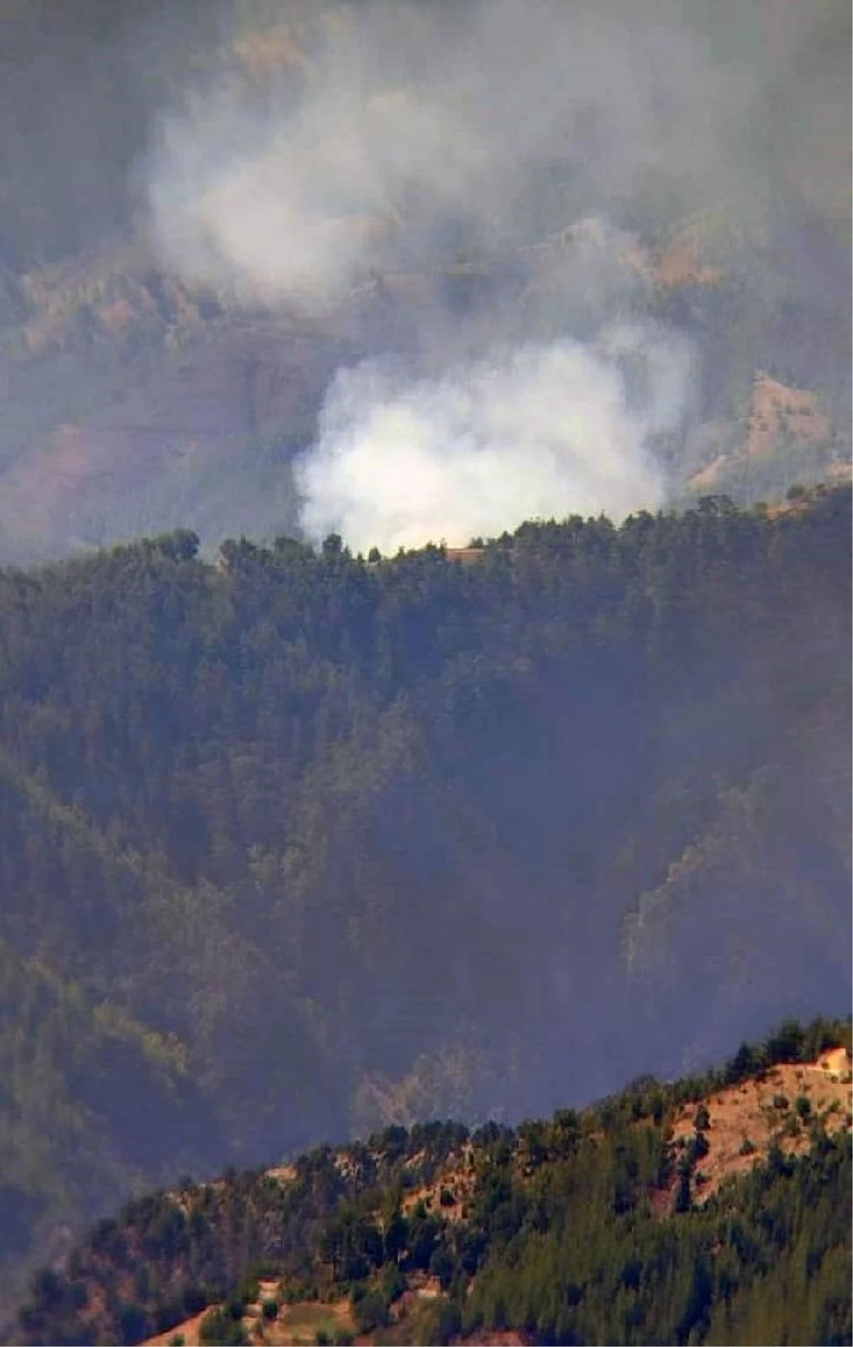 Adana’da Orman Yangını Çıktı