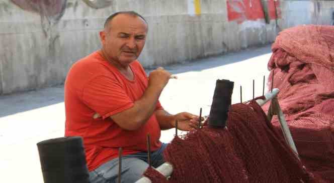 Karadenizli balıkçılar hamsiden umutlu: “Bu sezon hamsi yılı olacak”
