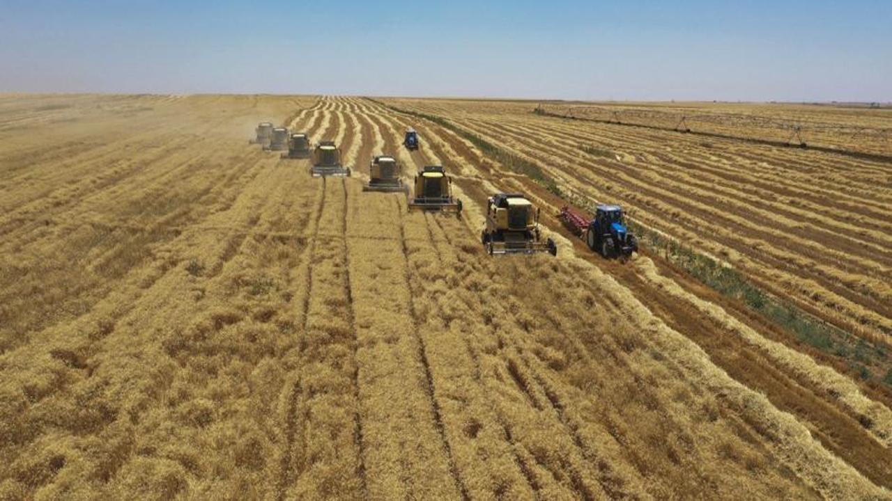 Tarımda verimi artıracak mikrobiyal gübre geliştirildi