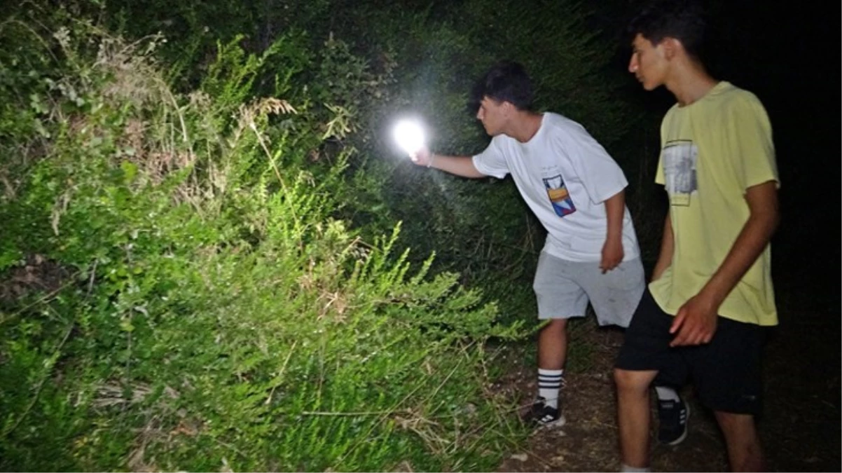 Türkiye’nin en kıymetli tarlasında sabaha kadar nöbet tutuyorlar! Bazıları 10-15 bin dolar değerinde