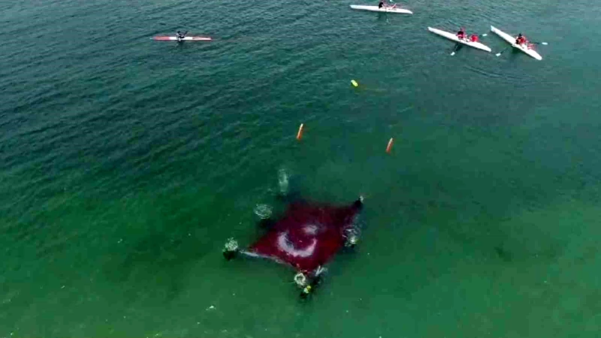 AKEM, Van Gölü’nde Zafer Bayramı için dalış yaparak dev bayrak açtı