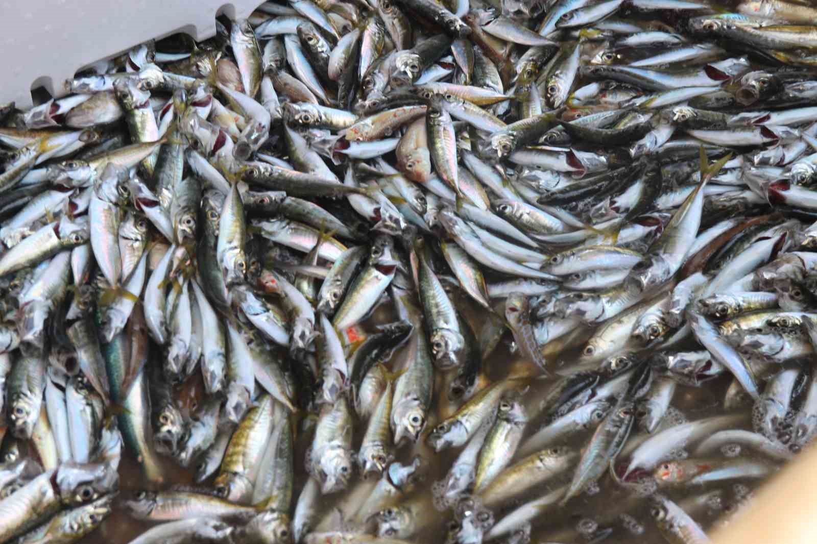 Rizeli Balıkçılar “Vira Bismillah” dedi