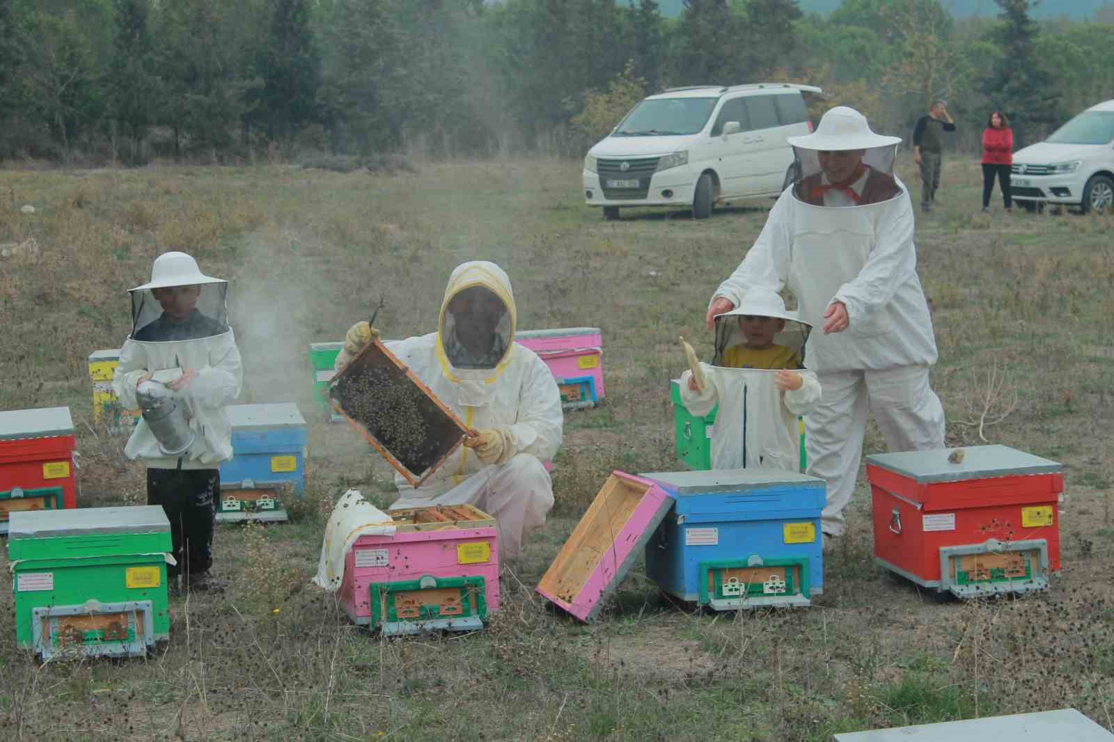 (Özel)  Gökkuşağı renkleriyle bal üretimi
