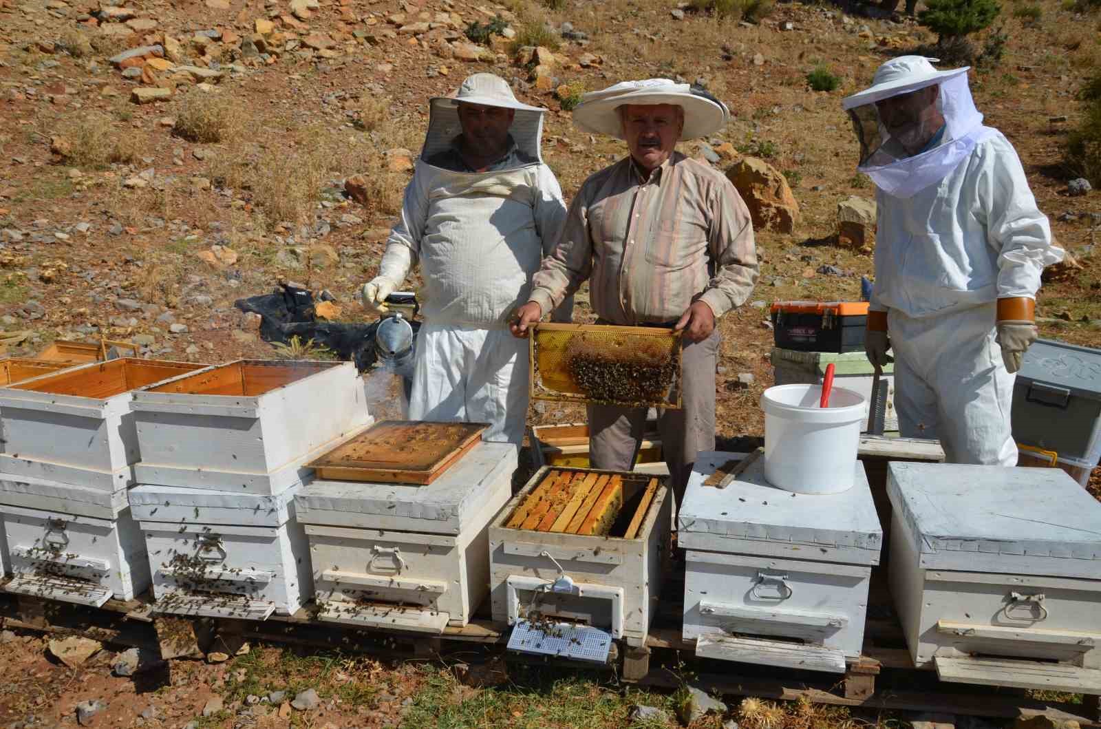 Antalya’da bal rekoltesi düştü, kilogramı 800 liraya kadar çıktı