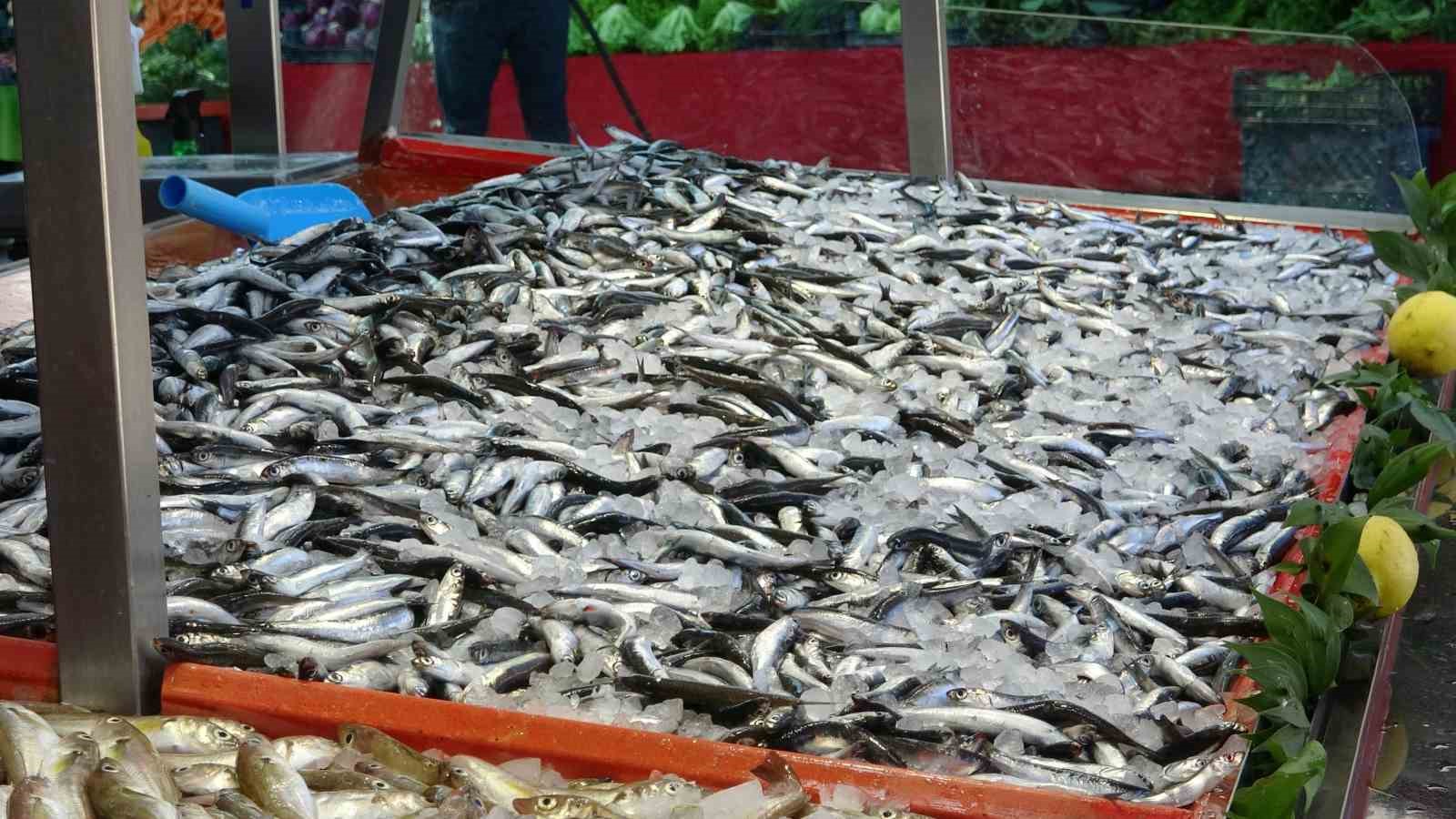 Bolu’da hamsinin fiyatı 40 lira birden düştü