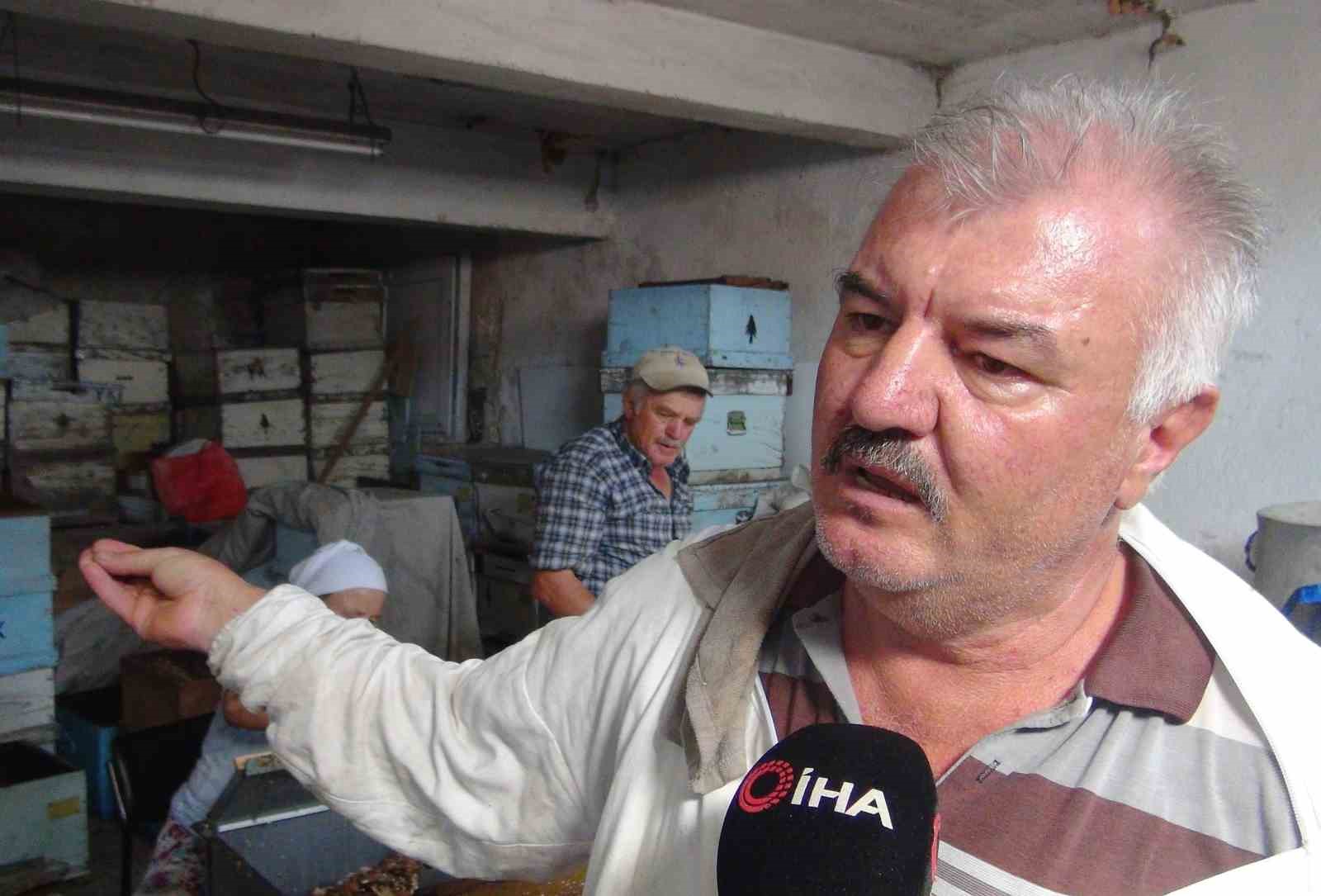 Çam balında rekolte beklentisi 14-15 bin ton