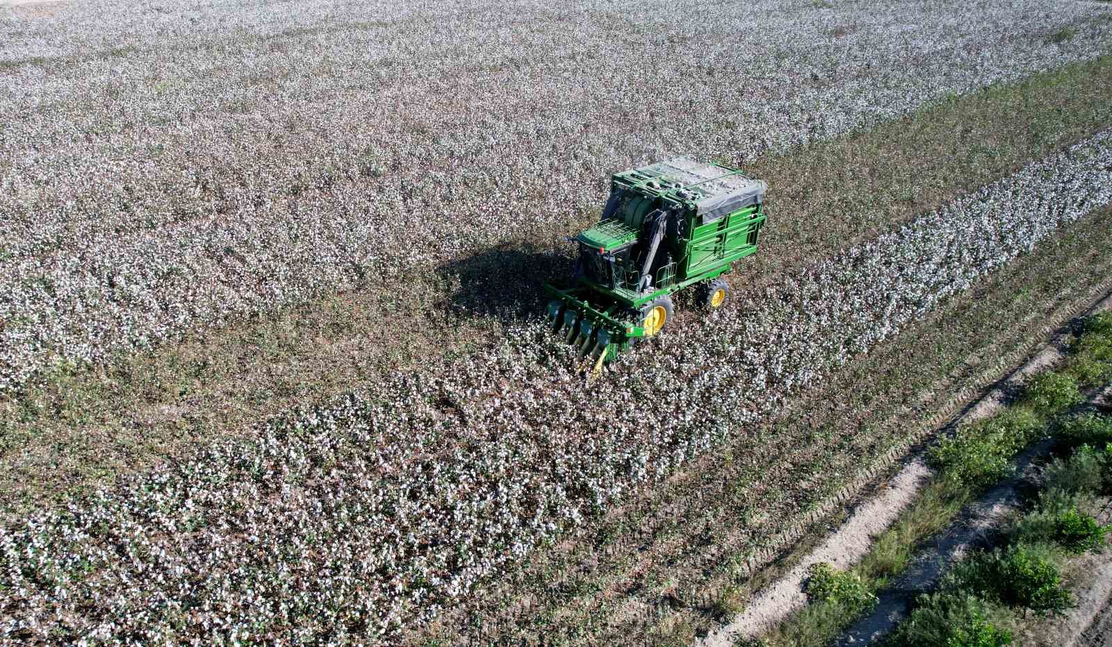 Adana’da pamuk hasadı başladı