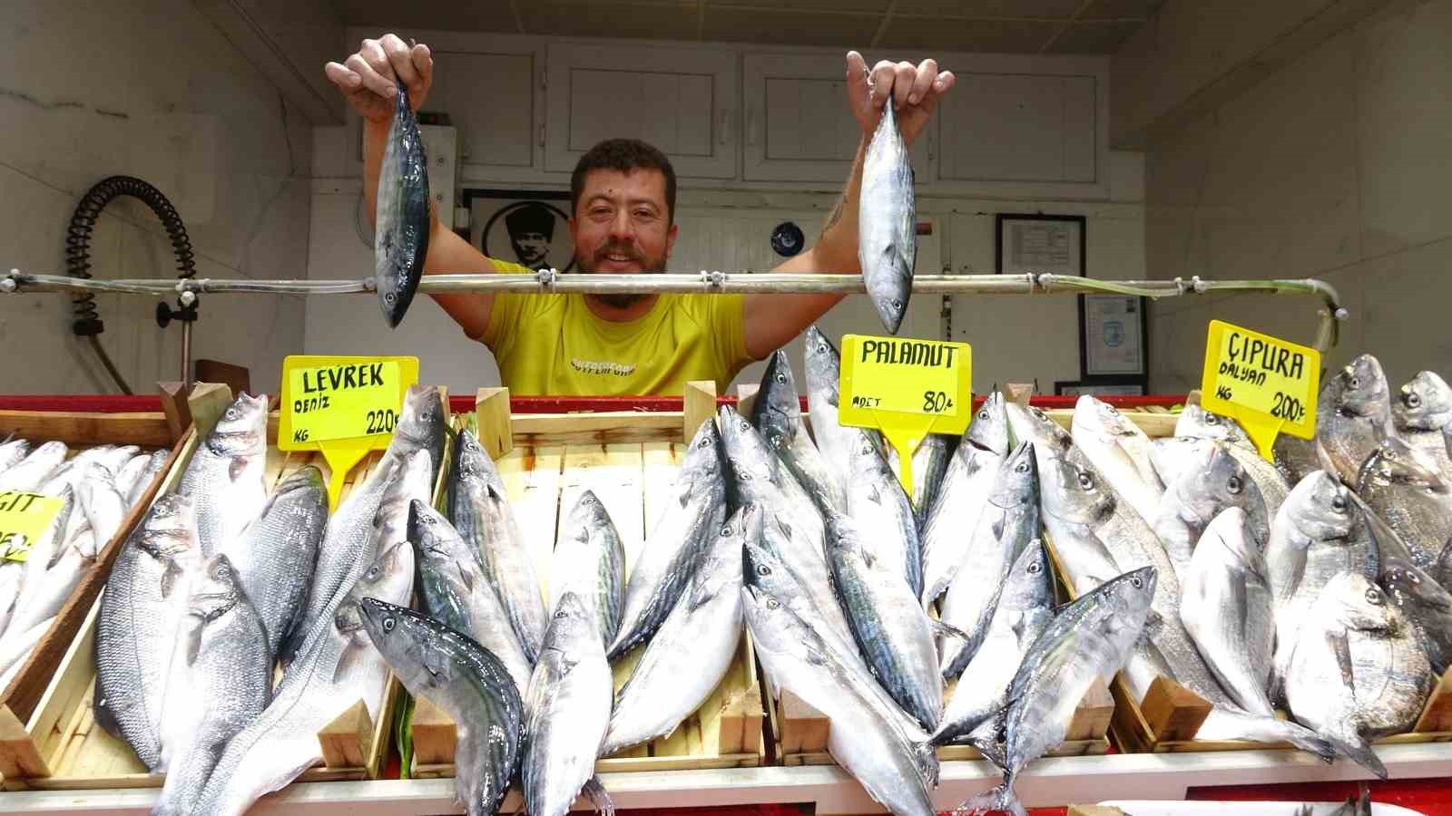 (Özel) Sezonun ilk palamutları tezgahta…Fiyatıyla yüzleri güldürdü