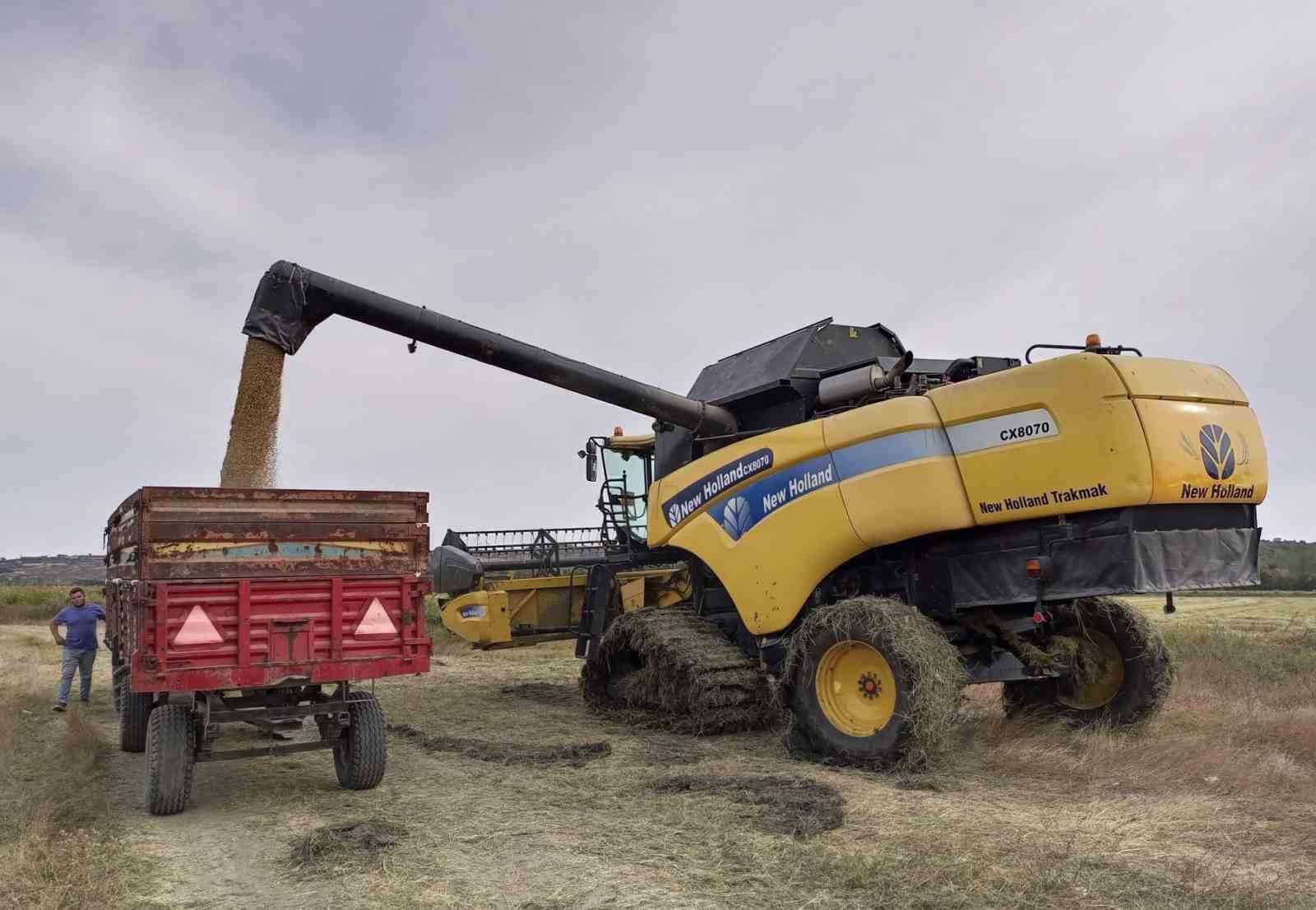 Pehlivanköy’de çeltik hasadı başladı