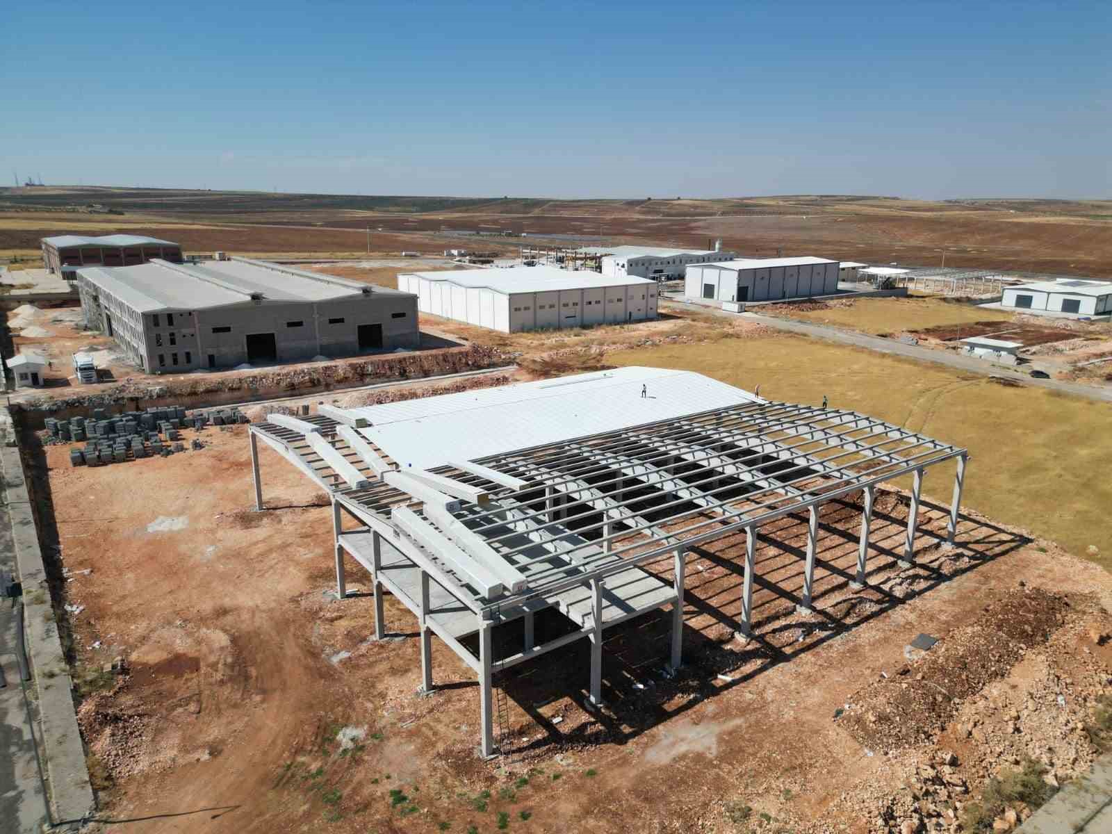 Türkiye’nin fıstık ihracatını karşılayan Şanlıurfa’da modern tesisler kuruluyor