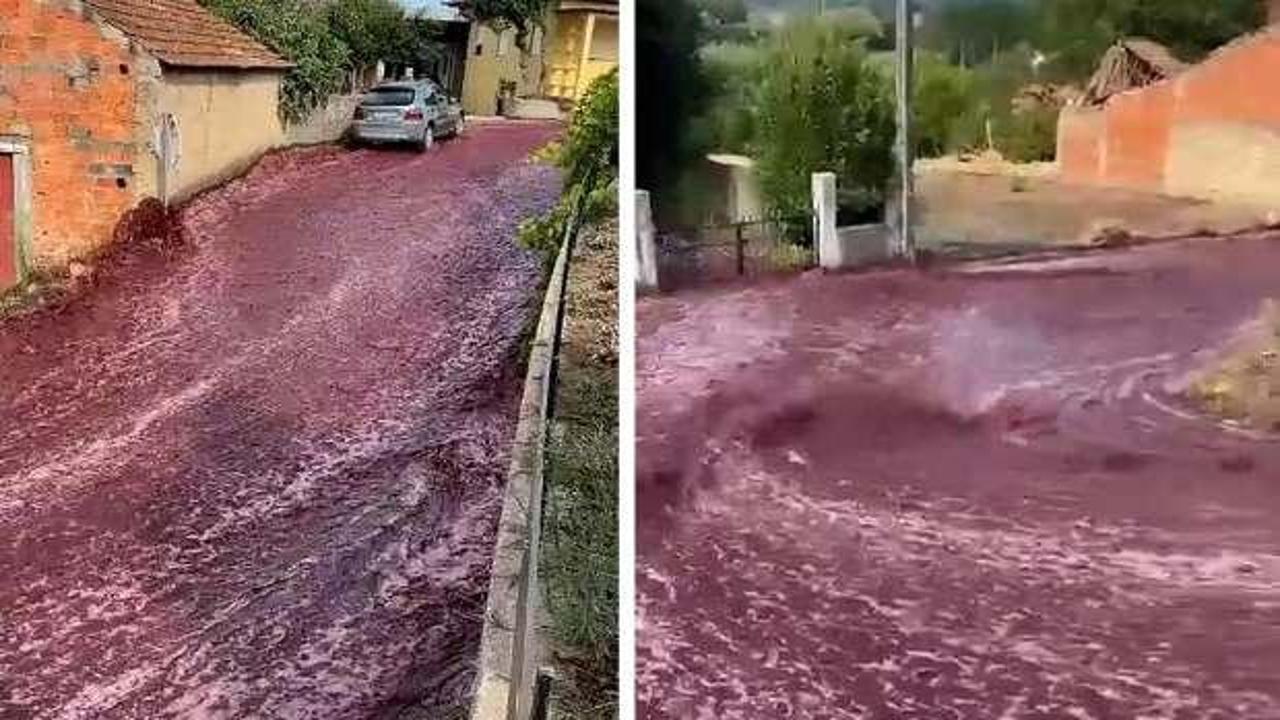 2,2 milyon litre şarap sokaklara döküldü