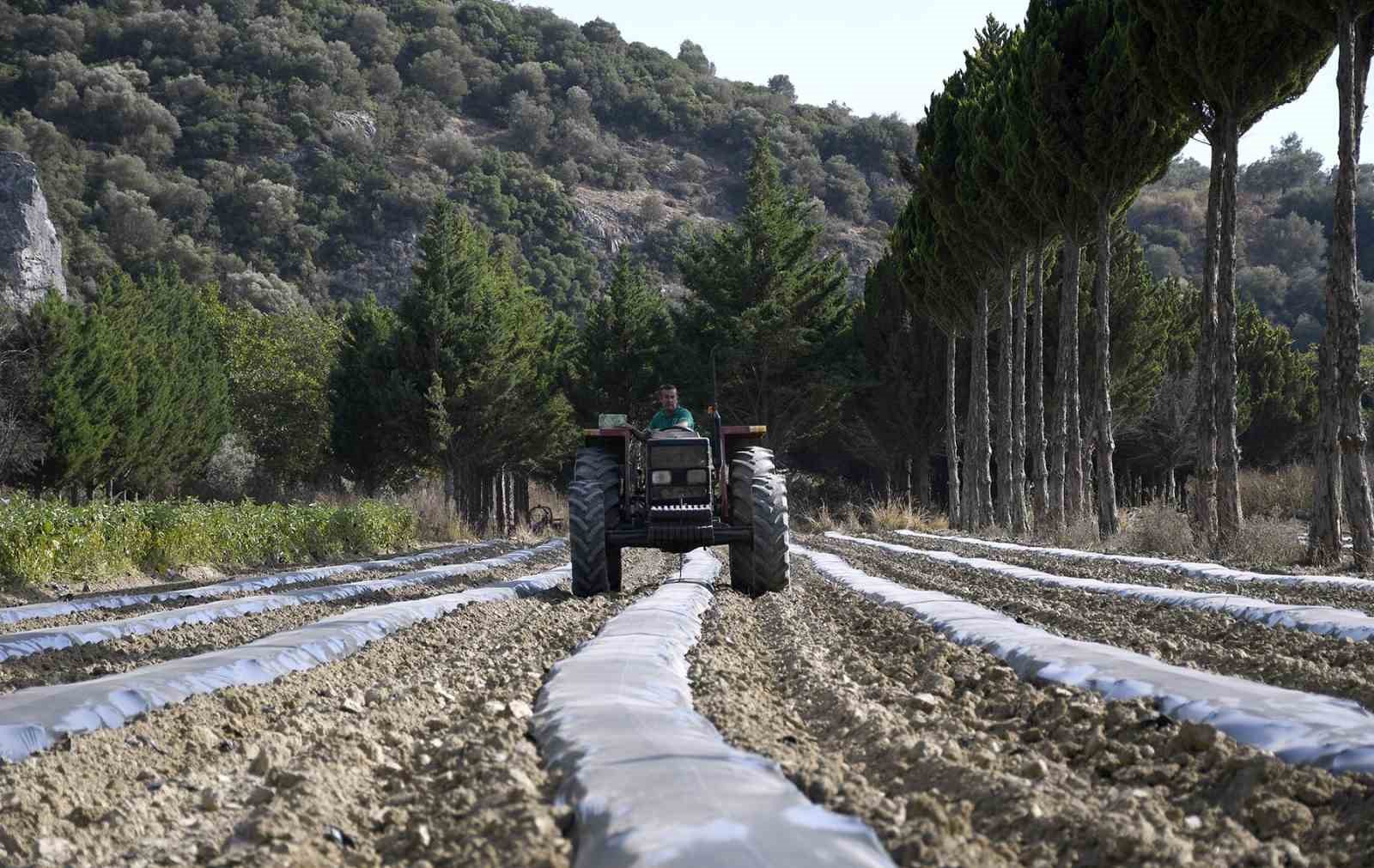 Adabahçe’de kış hazırlıkları başladı