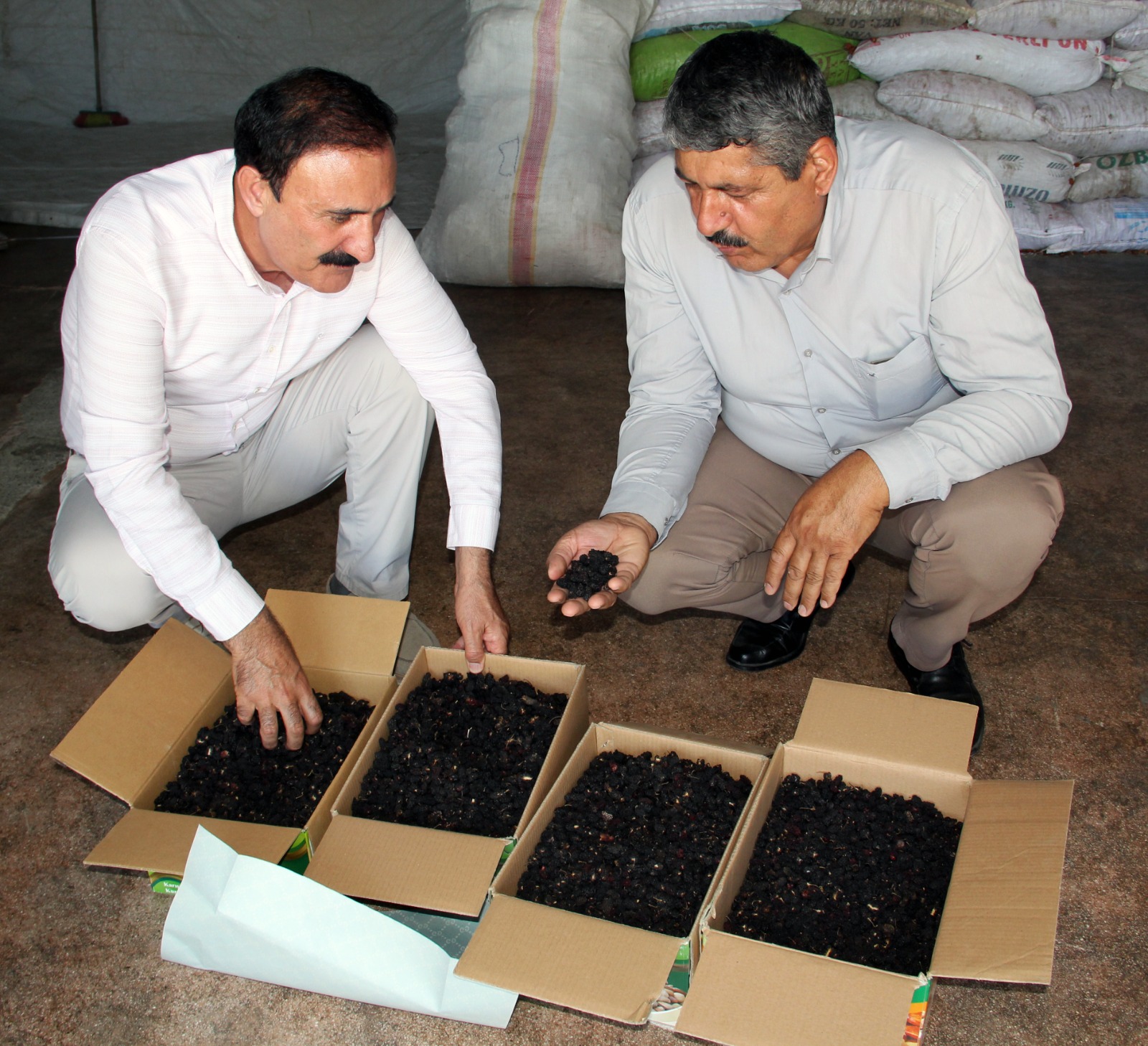 BAŞKAN SÜER’DEN ÇİFTÇİLERE BÜYÜK MÜJDE