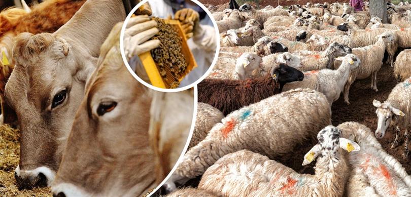 Tarım Ve Orman Bakanlığından üreticilere büyük destek