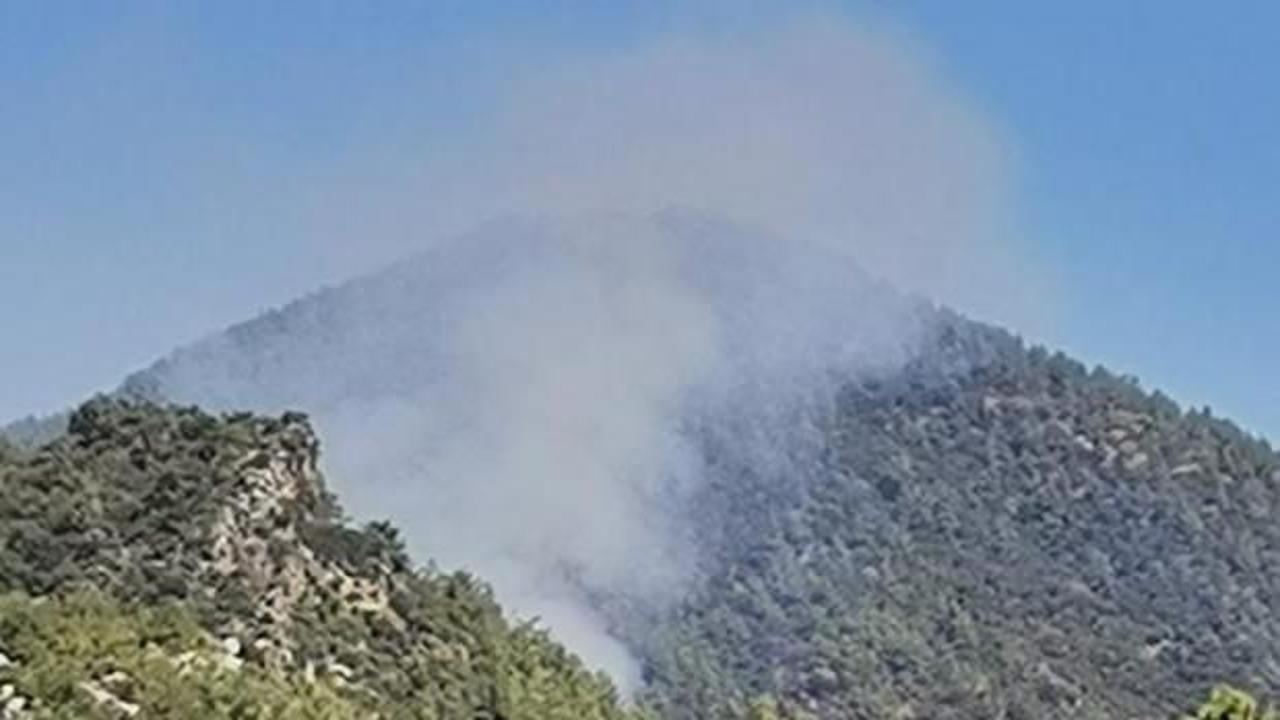 Adana ve Muğla’da orman yangını