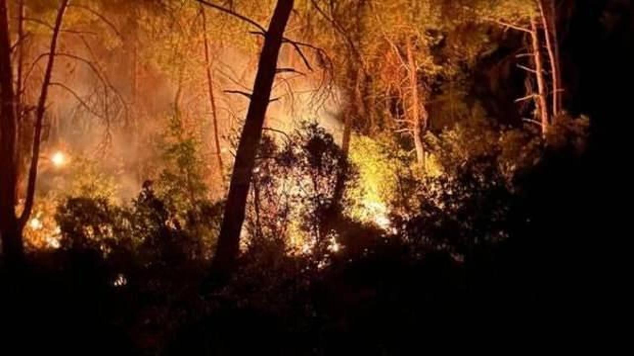 Adana’da orman yangını çıktı