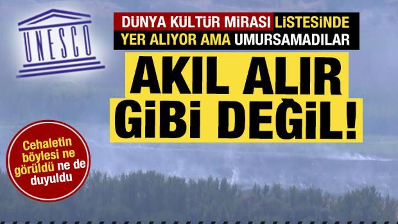 Akıl alır gibi değil! UNESCO listesindeki Hevsel Bahçeleri’nde yangın