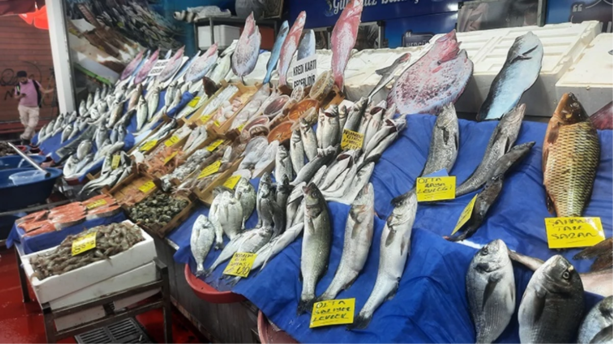 Av yasağı sona erdi, tezgahlar şenlendi! İşte balık fiyatlarında son durum