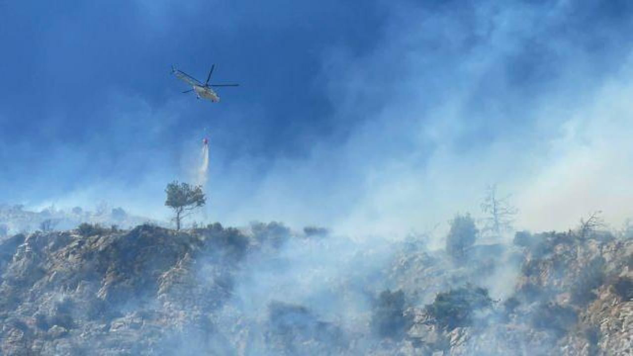 Aydın’da ağaçlık alanda yangın!