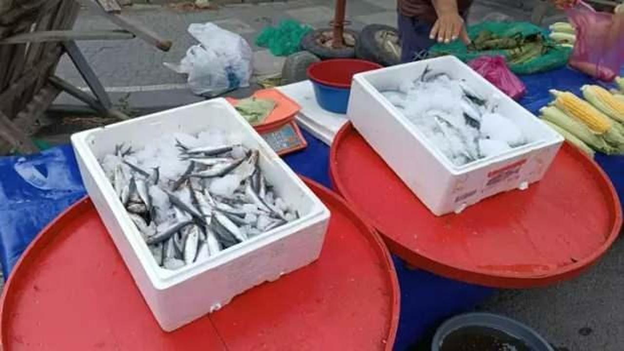 Balık fiyatları düşüşe geçti