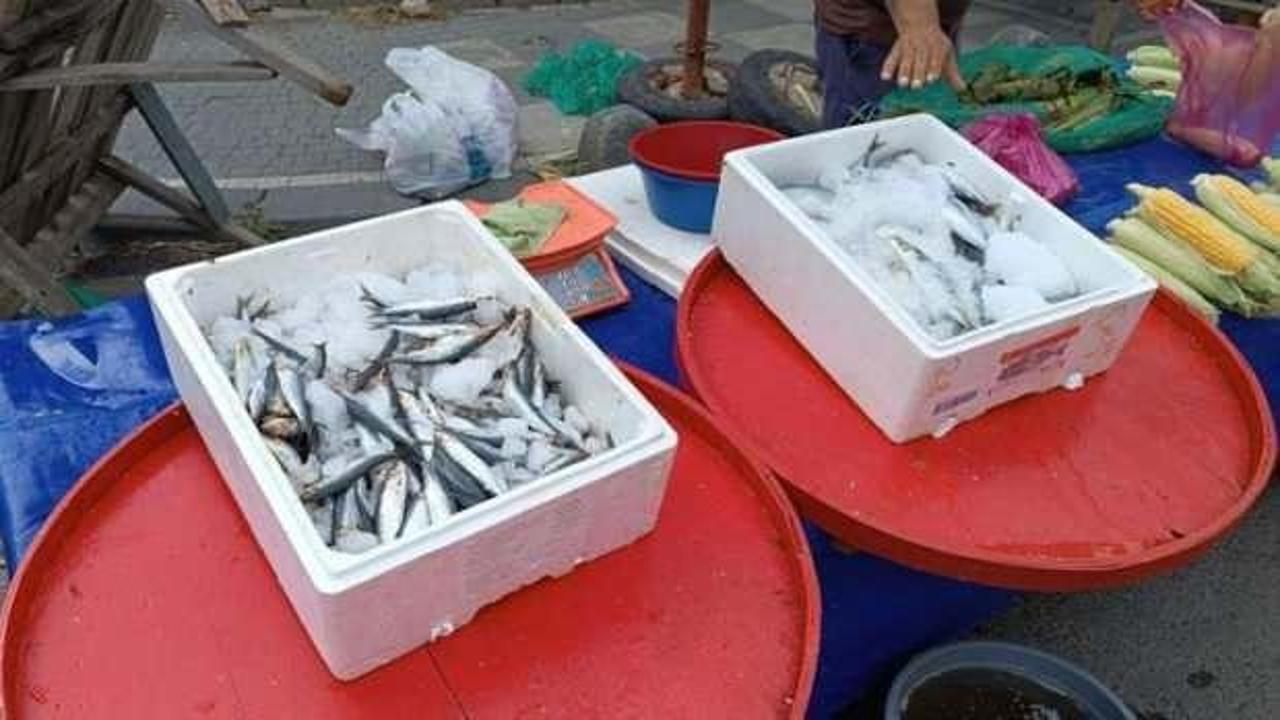 Balık fiyatları düşüşe geçti