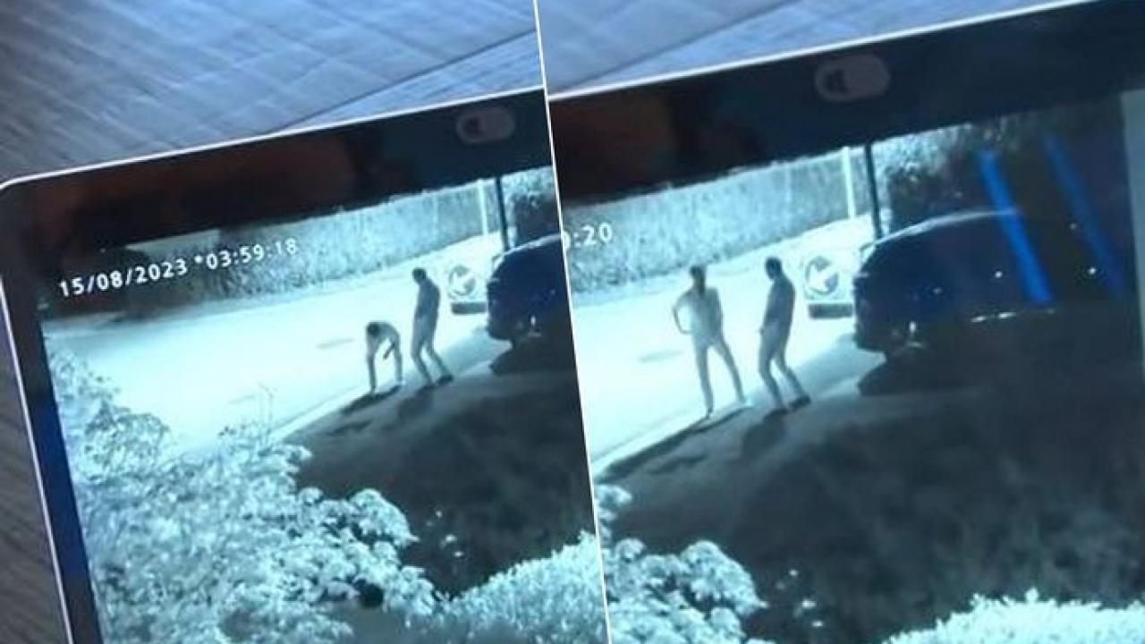 Belçika’da ‘Pipigate’ skandalı: Adalet Bakanı özür diledi