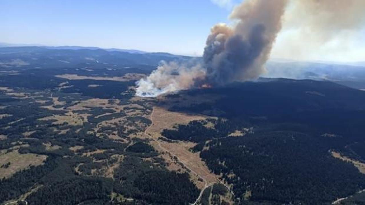 Bolu’da orman yangını