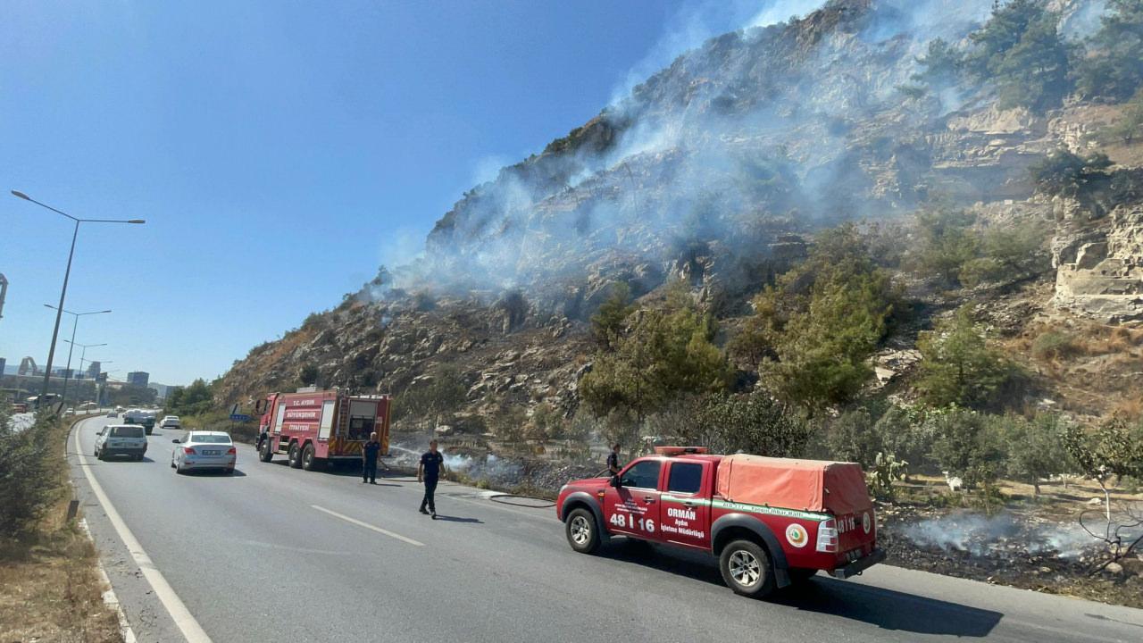 Aydın'da ağaçlık alanda yangın!