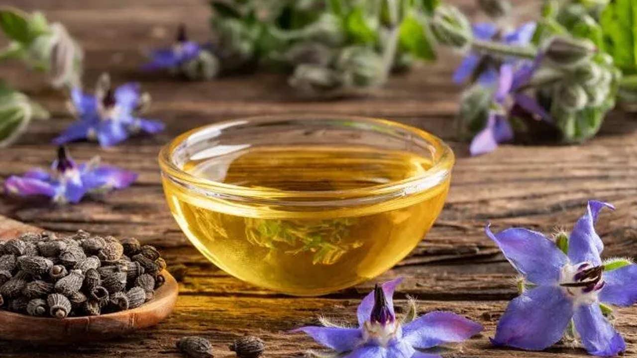 Hodan otunun ve yaprağının faydaları: Hodan otu çayı nasıl yapılır?
