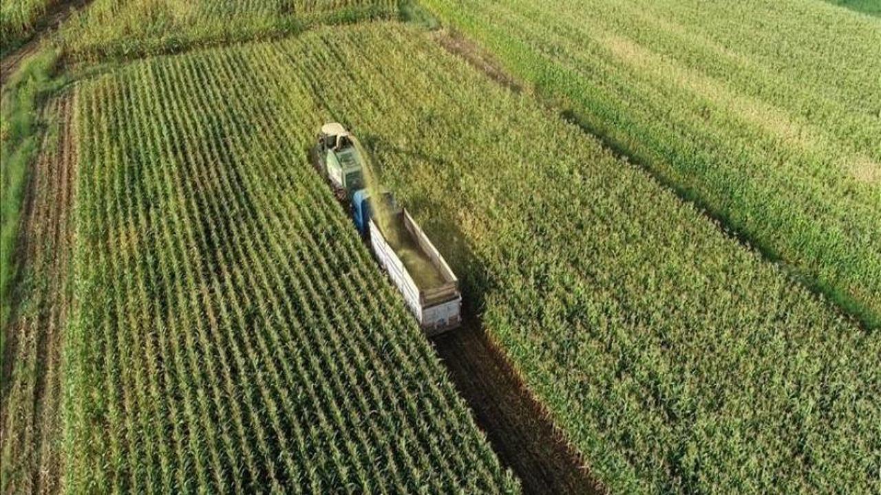 Çiftçilere bu yıl için ödenecek tarımsal destekler belli oldu