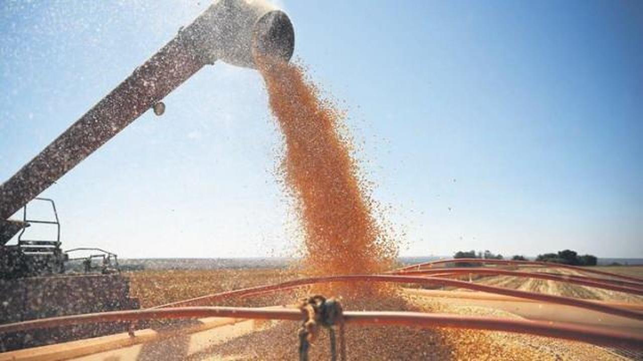 Avrupa’ya rağmen 40 gemiyle dev operasyon: Türkiye’de işlenip Afrika’ya gönderilecek