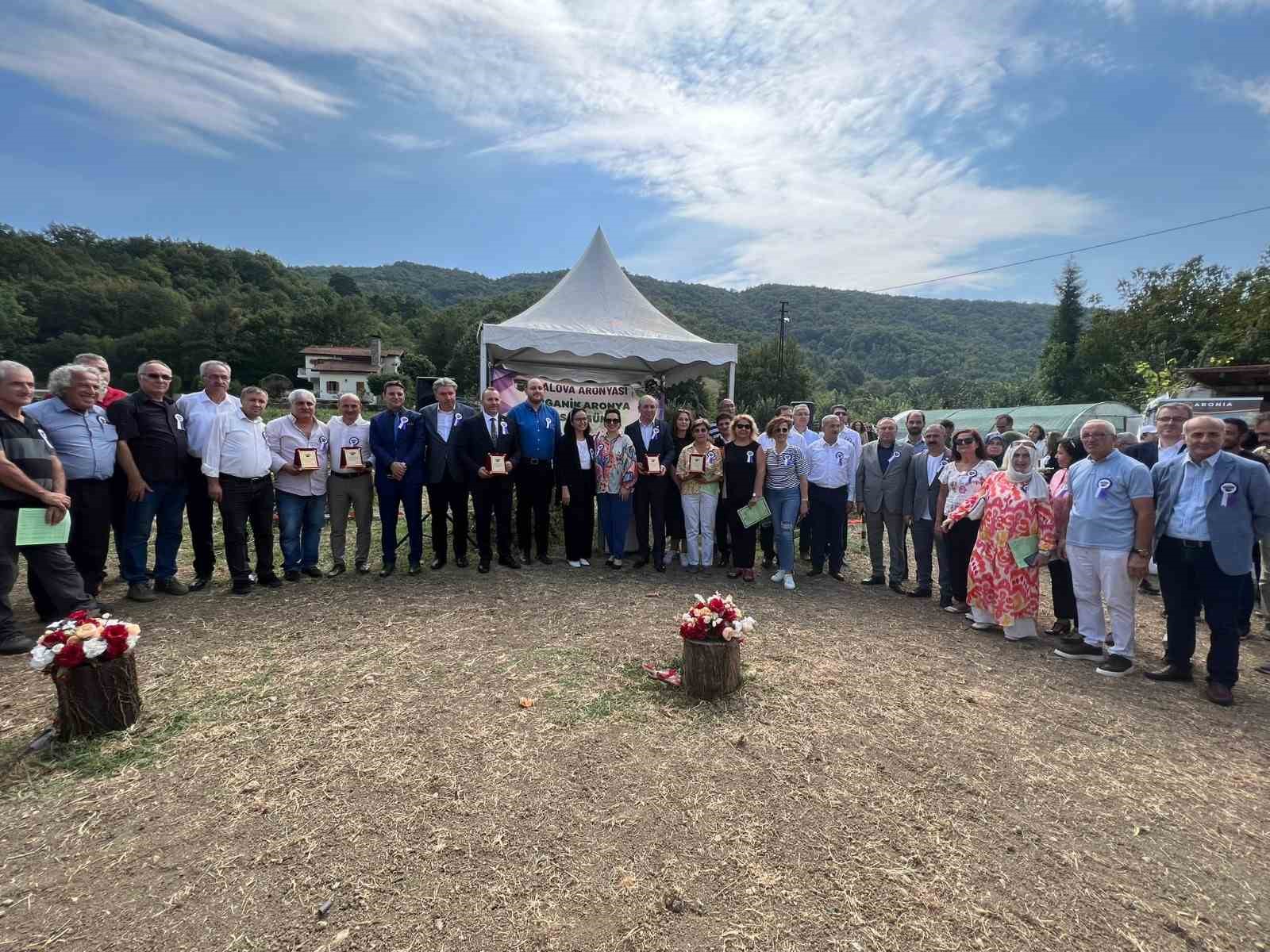 Yalova’nın coğrafi işaretli meyvesi aronyada hasat sevinci