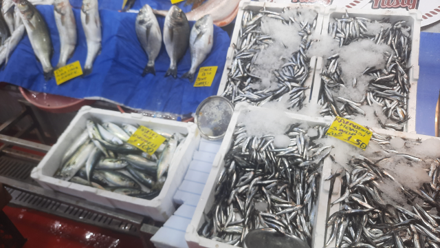 Av yasağı sona erdi, tezgahlar şenlendi! İşte balık fiyatlarında son durum