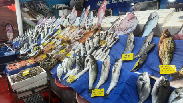 Av yasağı sona erdi, tezgahlar şenlendi! İşte balık fiyatlarında son durum