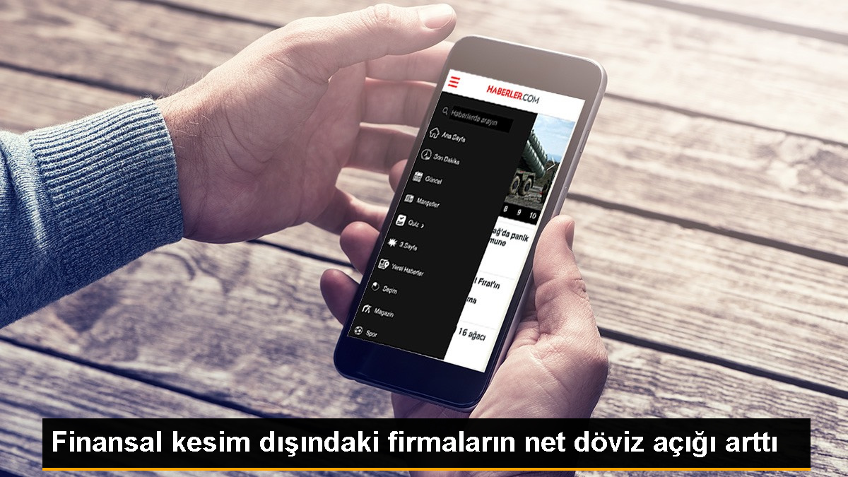 Firmaların Net Döviz Pozisyonu Açığı Haziranda 83 Milyar 828 Milyon Dolar Oldu