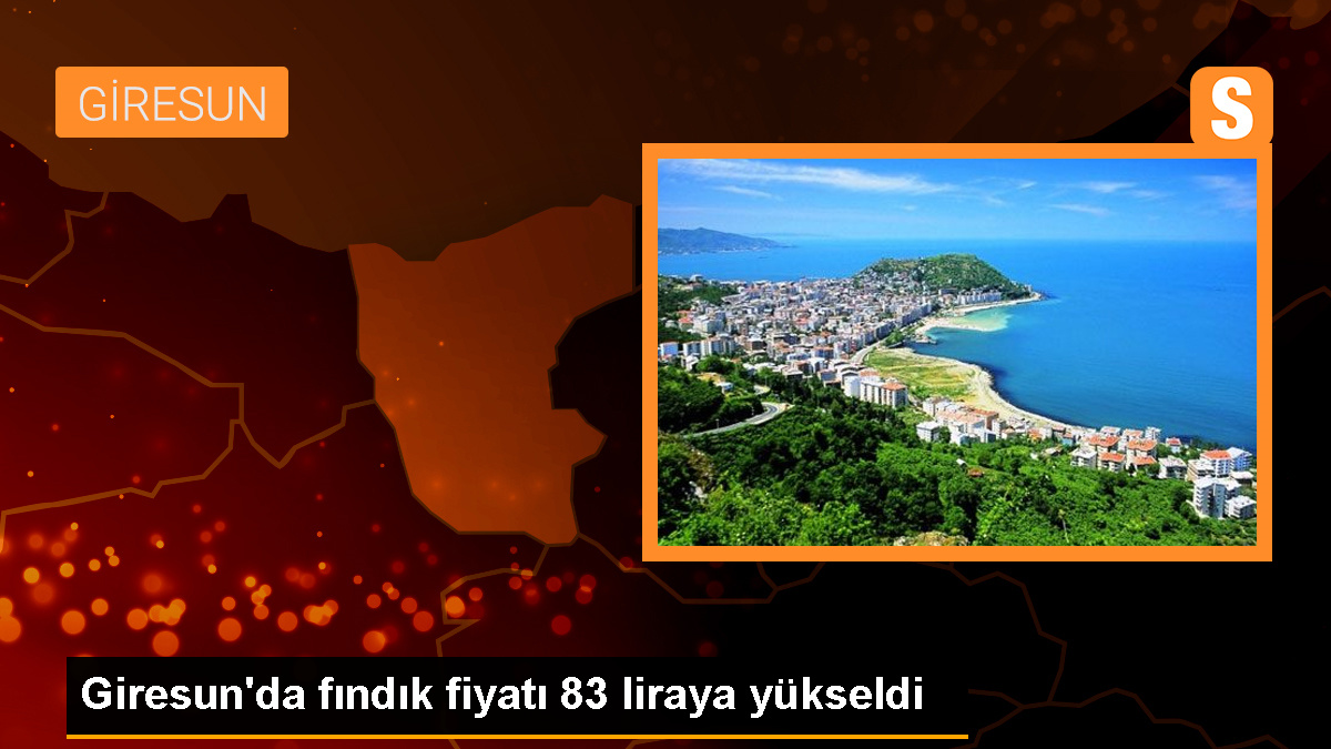 Giresun Serbest Piyasasında Fındık Fiyatı Yükseldi