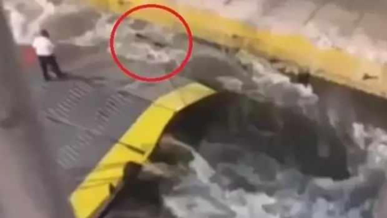 Görüntüler infiale neden olmuştu: Yunan bakan istifa etti