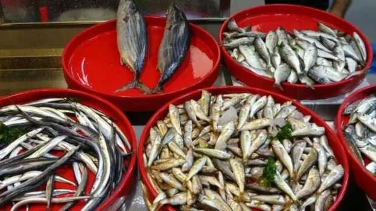 Hamsiler tezgahlarda yerini aldı